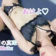 ヒメ日記 2025/05/17 07:41 投稿 三谷まいか 月の真珠-新宿-