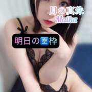 ヒメ日記 2025/05/20 13:18 投稿 三谷まいか 月の真珠-新宿-