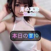 ヒメ日記 2025/05/22 10:08 投稿 三谷まいか 月の真珠-新宿-