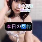 ヒメ日記 2025/05/24 10:08 投稿 三谷まいか 月の真珠-新宿-