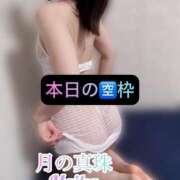 ヒメ日記 2025/05/31 11:18 投稿 三谷まいか 月の真珠-新宿-