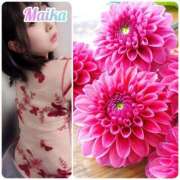 ヒメ日記 2025/06/15 18:18 投稿 三谷まいか 月の真珠-新宿-