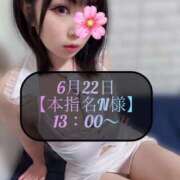 ヒメ日記 2025/06/23 08:28 投稿 三谷まいか 月の真珠-新宿-