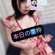 ヒメ日記 2025/06/26 09:08 投稿 三谷まいか 月の真珠-新宿-