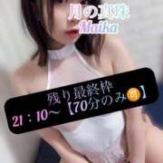 ヒメ日記 2025/06/26 14:09 投稿 三谷まいか 月の真珠-新宿-