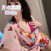 ヒメ日記 2025/07/08 18:08 投稿 三谷まいか 月の真珠-新宿-