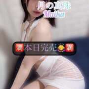 ヒメ日記 2025/07/17 09:18 投稿 三谷まいか 月の真珠-新宿-