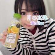 ヒメ日記 2025/07/23 17:58 投稿 三谷まいか 月の真珠-新宿-