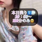 ヒメ日記 2025/08/04 14:08 投稿 三谷まいか 月の真珠-新宿-