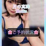 ヒメ日記 2025/08/07 20:18 投稿 三谷まいか 月の真珠-新宿-