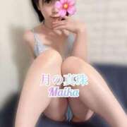 ヒメ日記 2025/08/08 09:08 投稿 三谷まいか 月の真珠-新宿-