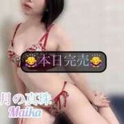 ヒメ日記 2025/08/23 12:18 投稿 三谷まいか 月の真珠-新宿-