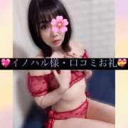 ヒメ日記 2025/08/25 13:28 投稿 三谷まいか 月の真珠-新宿-