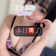 ヒメ日記 2025/08/25 20:21 投稿 三谷まいか 月の真珠-新宿-