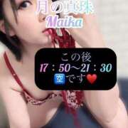 ヒメ日記 2025/08/26 15:08 投稿 三谷まいか 月の真珠-新宿-