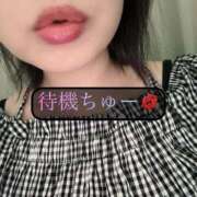 ヒメ日記 2025/09/02 20:48 投稿 三谷まいか 月の真珠-新宿-