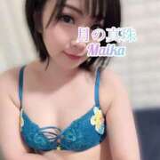 ヒメ日記 2025/09/07 17:37 投稿 三谷まいか 月の真珠-新宿-