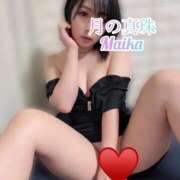 ヒメ日記 2025/10/26 20:48 投稿 三谷まいか 月の真珠-新宿-