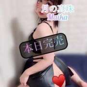 ヒメ日記 2025/10/30 16:58 投稿 三谷まいか 月の真珠-新宿-