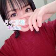 ヒメ日記 2025/11/08 15:08 投稿 三谷まいか 月の真珠-新宿-