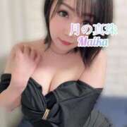 ヒメ日記 2025/11/11 13:22 投稿 三谷まいか 月の真珠-新宿-