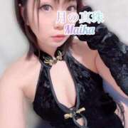 ヒメ日記 2025/11/17 16:06 投稿 三谷まいか 月の真珠-新宿-