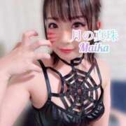 ヒメ日記 2025/11/17 23:58 投稿 三谷まいか 月の真珠-新宿-