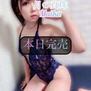 ヒメ日記 2025/11/18 10:58 投稿 三谷まいか 月の真珠-新宿-