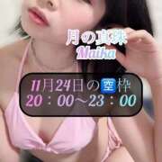 ヒメ日記 2025/11/23 11:38 投稿 三谷まいか 月の真珠-新宿-