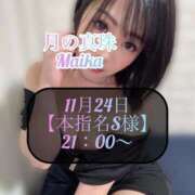 ヒメ日記 2025/11/25 00:58 投稿 三谷まいか 月の真珠-新宿-