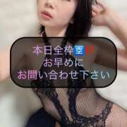 ヒメ日記 2025/11/25 11:27 投稿 三谷まいか 月の真珠-新宿-