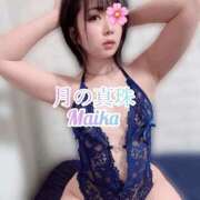 ヒメ日記 2025/11/25 23:28 投稿 三谷まいか 月の真珠-新宿-