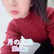 ヒメ日記 2025/11/27 17:58 投稿 三谷まいか 月の真珠-新宿-