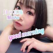 ヒメ日記 2025/12/14 09:28 投稿 三谷まいか 月の真珠-新宿-