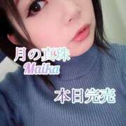 ヒメ日記 2025/12/16 17:38 投稿 三谷まいか 月の真珠-新宿-