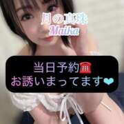 ヒメ日記 2025/12/23 10:38 投稿 三谷まいか 月の真珠-新宿-