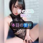 ヒメ日記 2026/02/26 12:18 投稿 三谷まいか 月の真珠-新宿-