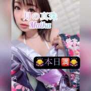 ヒメ日記 2026/03/02 13:28 投稿 三谷まいか 月の真珠-新宿-