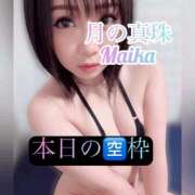 ヒメ日記 2026/03/11 11:37 投稿 三谷まいか 月の真珠-新宿-