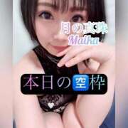 ヒメ日記 2026/03/13 12:22 投稿 三谷まいか 月の真珠-新宿-