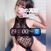 ヒメ日記 2026/03/14 15:48 投稿 三谷まいか 月の真珠-新宿-