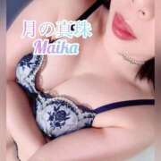 ヒメ日記 2026/04/01 09:18 投稿 三谷まいか 月の真珠-新宿-
