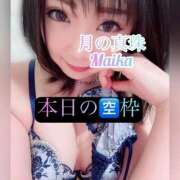 ヒメ日記 2026/04/01 10:14 投稿 三谷まいか 月の真珠-新宿-