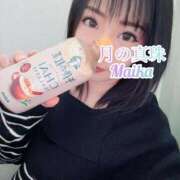 ヒメ日記 2026/04/01 18:58 投稿 三谷まいか 月の真珠-新宿-