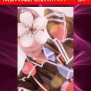 ヒメ日記 2025/07/22 17:29 投稿 あんな 濃厚即19妻