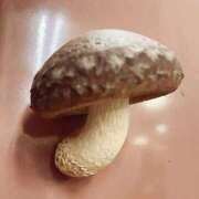 ヒメ日記 2025/11/25 23:34 投稿 あんな 濃厚即19妻