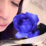 ヒメ日記 2025/12/29 13:54 投稿 あんな 濃厚即19妻