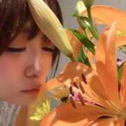 ヒメ日記 2026/02/18 12:44 投稿 あんな 濃厚即19妻