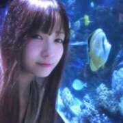 あんな 今晩は、夜に変更🌉 濃厚即19妻