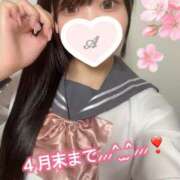 ヒメ日記 2025/04/17 06:16 投稿 アカリ COCOMERO（ココメロ）